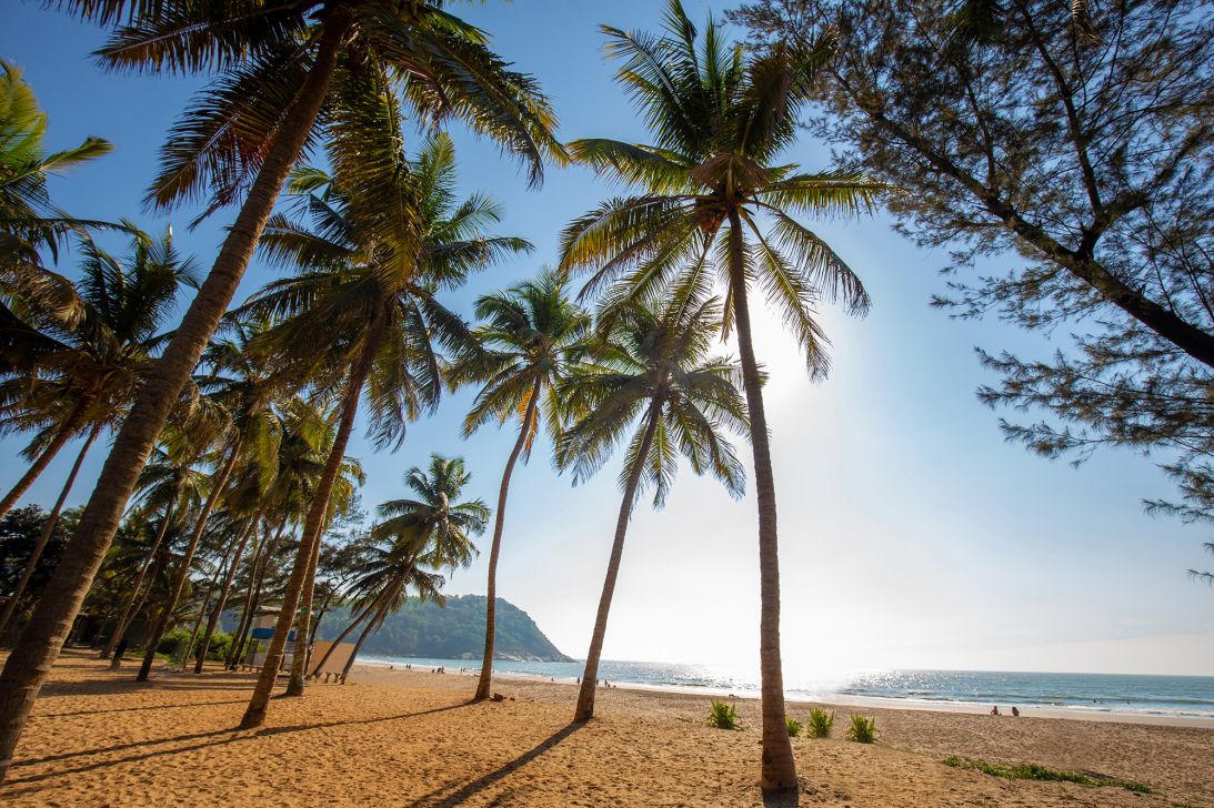 European carrier Aegean Airlines will launch new nonstop flights to India in 2026.