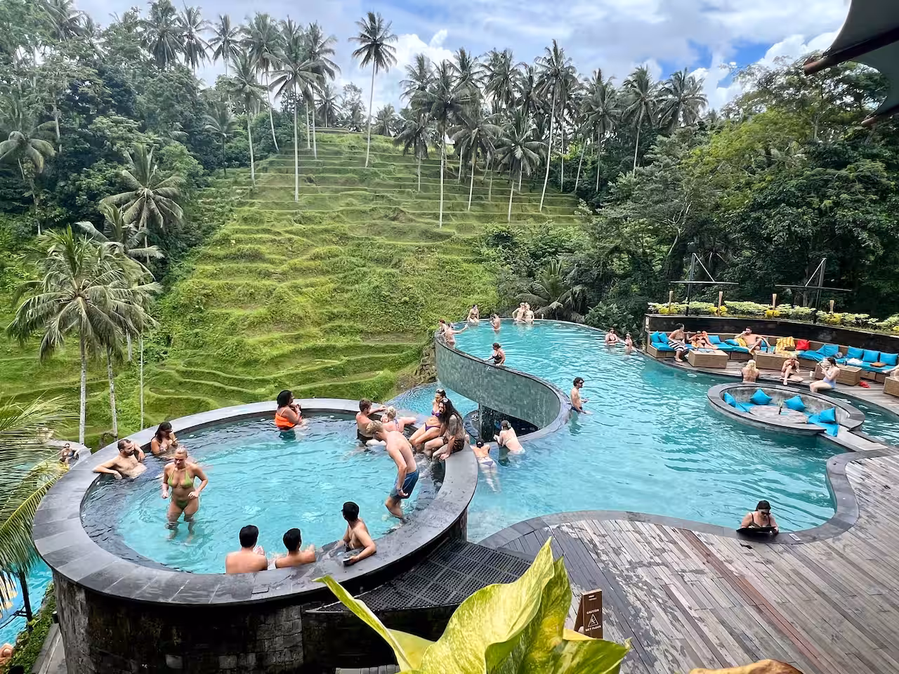 Tourists gather in pool overlooking rice fields in Bali.