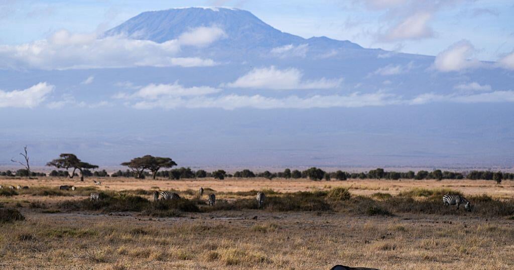 Rescue helicopter crashes on Tanzania's Mount Kilimanjaro, killing all 5 on board