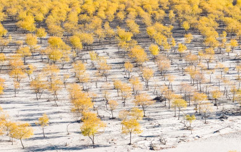 The Yani wetland is located near to the hydropower project development area. Chinese leader Xi Jinping and Premier Li Qiang have each visited the wetland in recent years to emphasize the importance of ecological preservation.