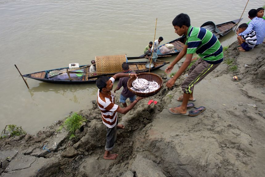 Fishermen deliver their daily catch on the bank of the Brahmaputra river in Guwahati, Assam, India, in 2016.