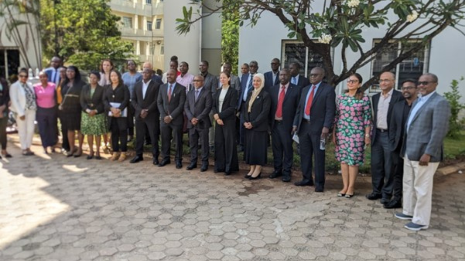 International Review Sees Progress in Cancer Control in Tanzania