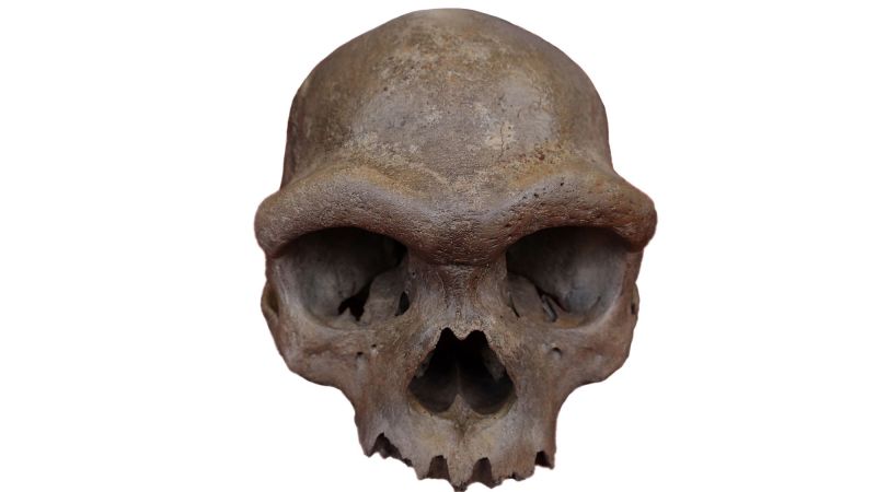 The year human evolution’s greatest mystery got a face