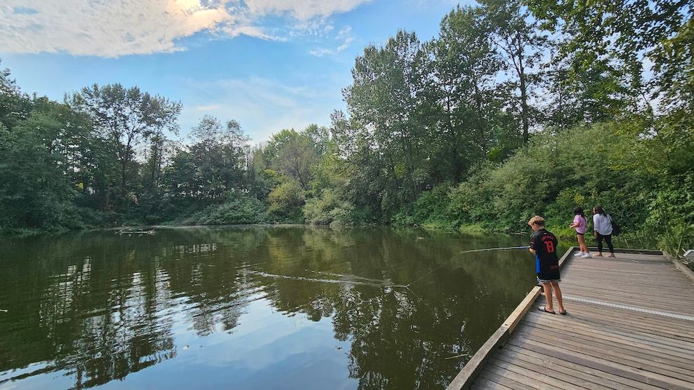 hastings park sanctuary pond lake