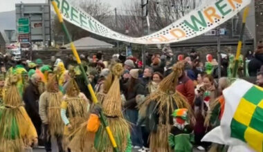 Celebrants don weird and wonderful costumes in parts of Ireland for Wren Day - The Journal