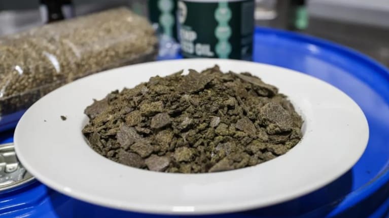 Under the new settings industrial hemp would no longer need a licence to grow or handle.