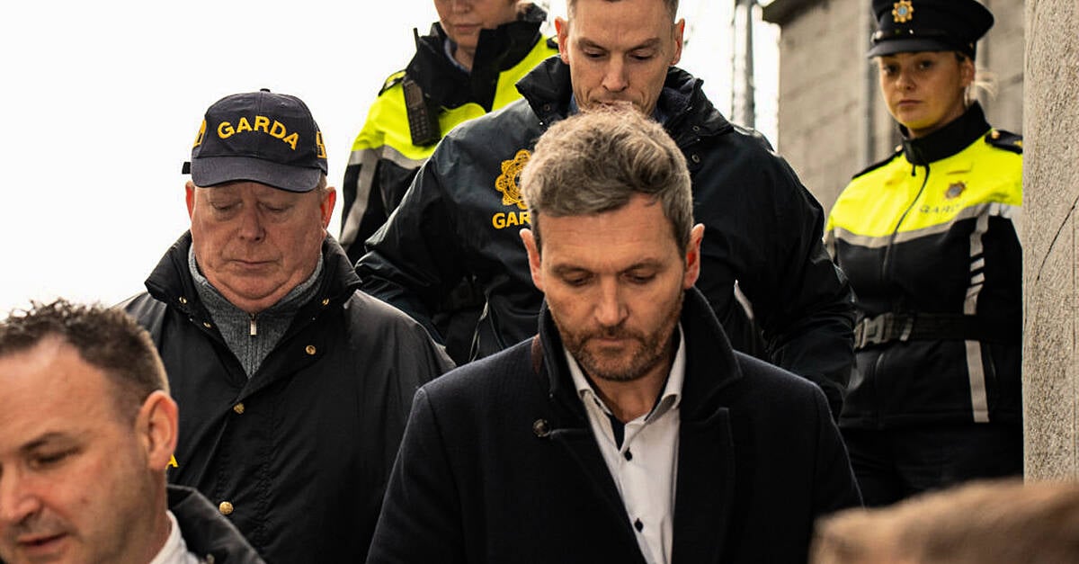 High Court grants Revenue order against Nathan McDonnell