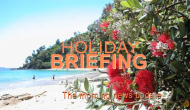 Holiday briefing: Gold turns from a risk haven to a speculative play
