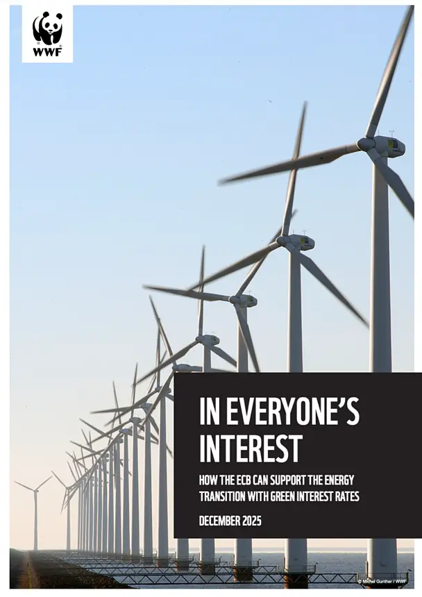 Green refinancing operations: helping the ECB keep prices stable