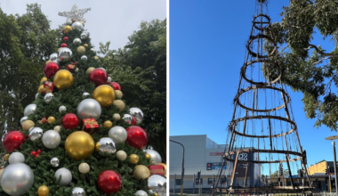 Arsonists burn down NSW town's Christmas tree