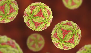 Japanese enchepalitis detected in rural Victoria