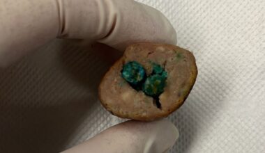 Warning to dog owners after poisoned sausages left at Weekley Park, Stanmore