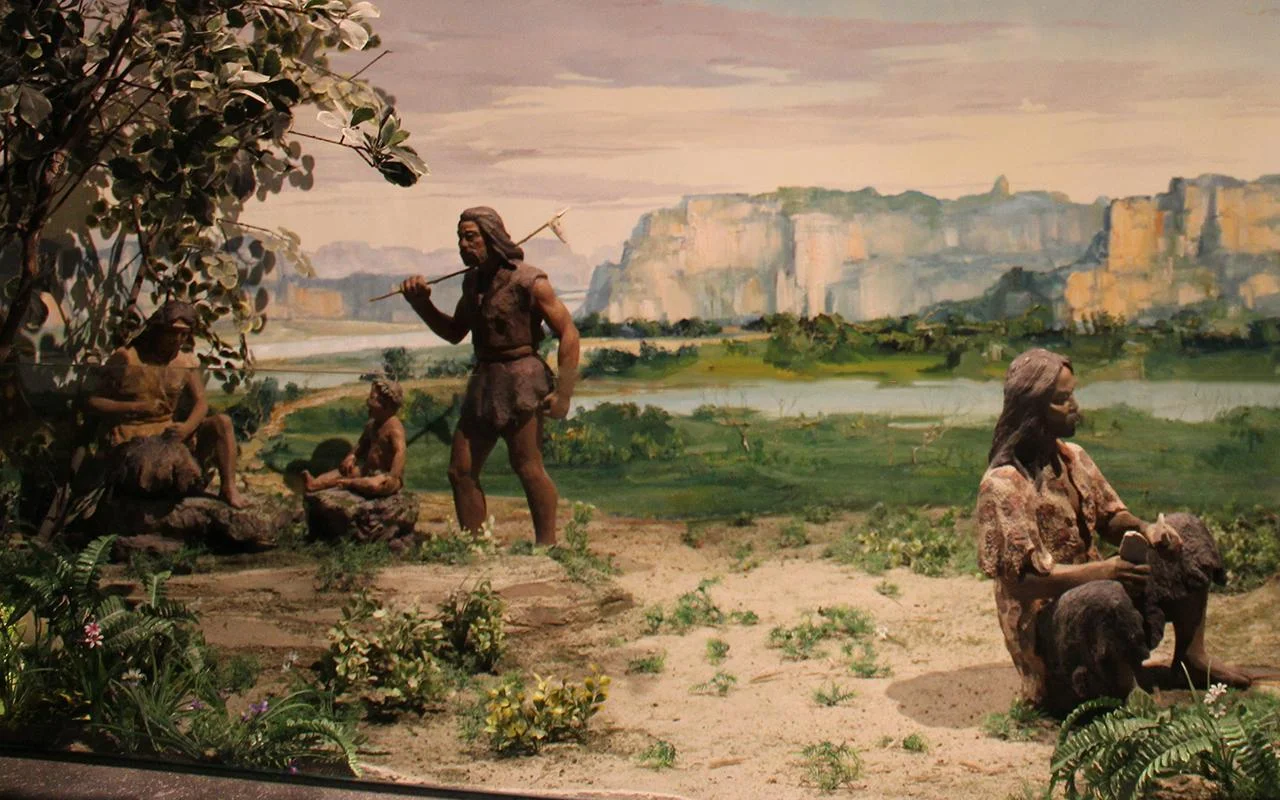 Early humans ate processed plant foods long before farming, new study shows