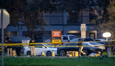 Three children among victims of California birthday party shooting