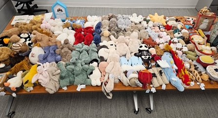 Dozens of JellyCats recovered by police in Kitchener