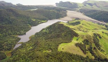 Police divers called in after swimmer goes missing in Auckland lake