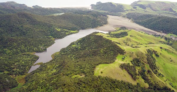 Police divers called in after swimmer goes missing in Auckland lake