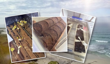 Ancient waka discovery reveals hundreds of extraordinary artefacts