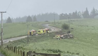 Driver seriously hurt in logging truck crash