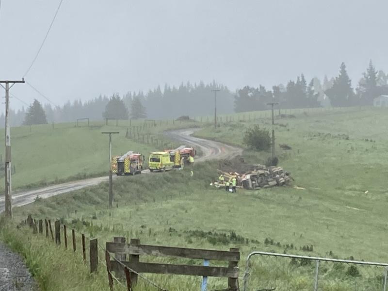 Driver seriously hurt in logging truck crash