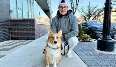 PETA urges Delaware to consider dog-walking requirement