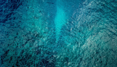 Manawanui sinking: Call for UK's role to be considered