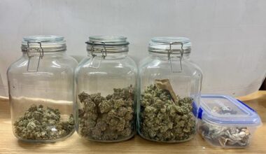 Drug deal in process busted: police