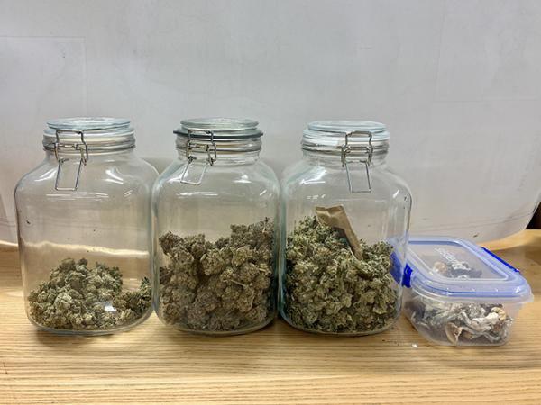 Drug deal in process busted: police