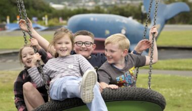 Planning starts for upgrade of‘ beloved’ dinosaur park