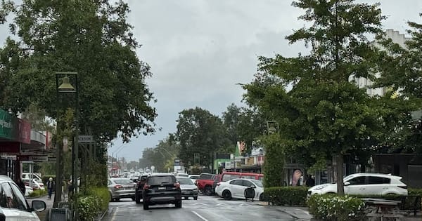Trees face the chop in Masterton CBD