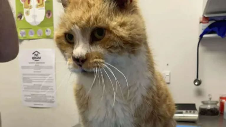 Mo after his 14-year adventure. (Source: Supplied / Paul Myburgh)