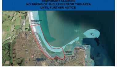 Rāhui in place for Moeraki to allow shellfish to recover