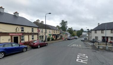 Two men pretending to be Gardaí followed an elderly Carlow woman home to rob her