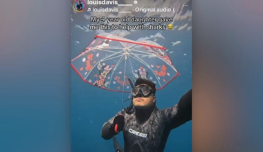 Northland dad's videos on whānau life turns him into global TikTok star