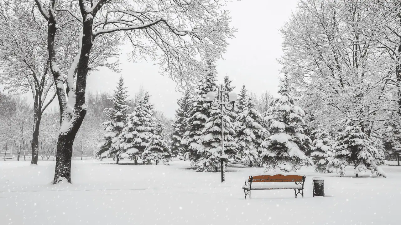 Up to 15 cm of snow and -20 C wind chills to hit southern Ontario this week