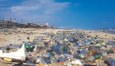 We'll Be Dumping a Garbage Truck of Plastic Every Second by 2040, Report Warns