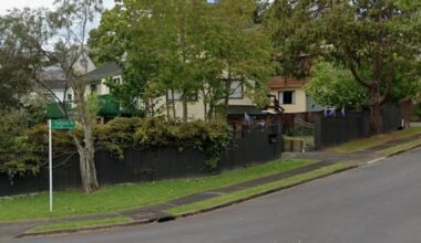 Fleeing man allegedly ditched gun before hiding under child's bed