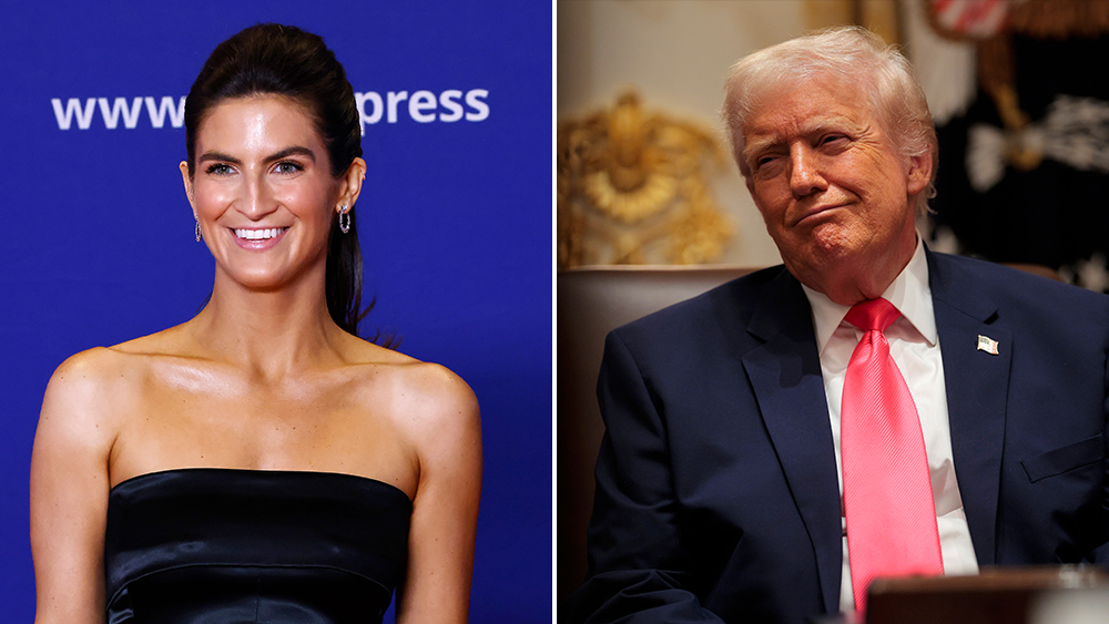 Kaitlan Collins Responds To Trump Rant Calling Her 'Stupid And Nasty'