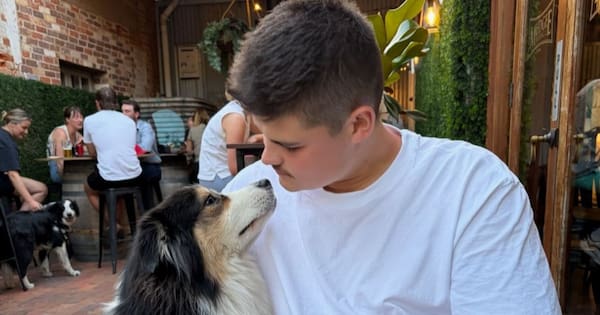 'Long recovery ahead' for officer shot in head at Bondi attack