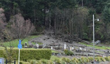 Companies fined for role in landslip
