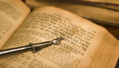 Parashat Vayeshev - the stars, the moon, the all important camels and IMEC