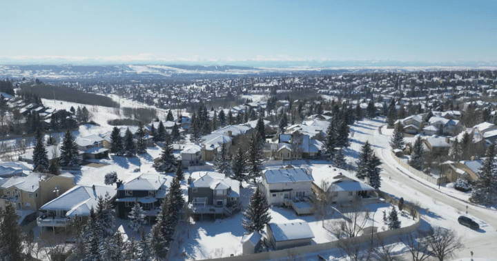 The Calgary communities seeing effects of citywide rezoning the most and least - Calgary
