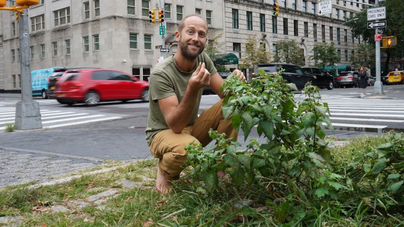 Forage for food—without killing your guests