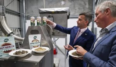 Hemp industry rules loosened in sweeping law change