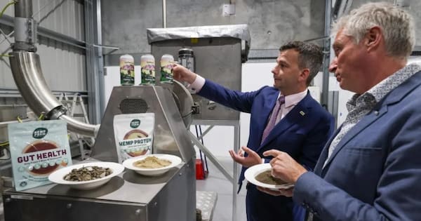 Hemp industry rules loosened in sweeping law change