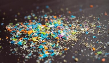 Microplastics: European Parliament requests scientific advice from EFSA