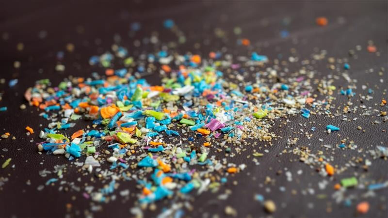 Microplastics: European Parliament requests scientific advice from EFSA