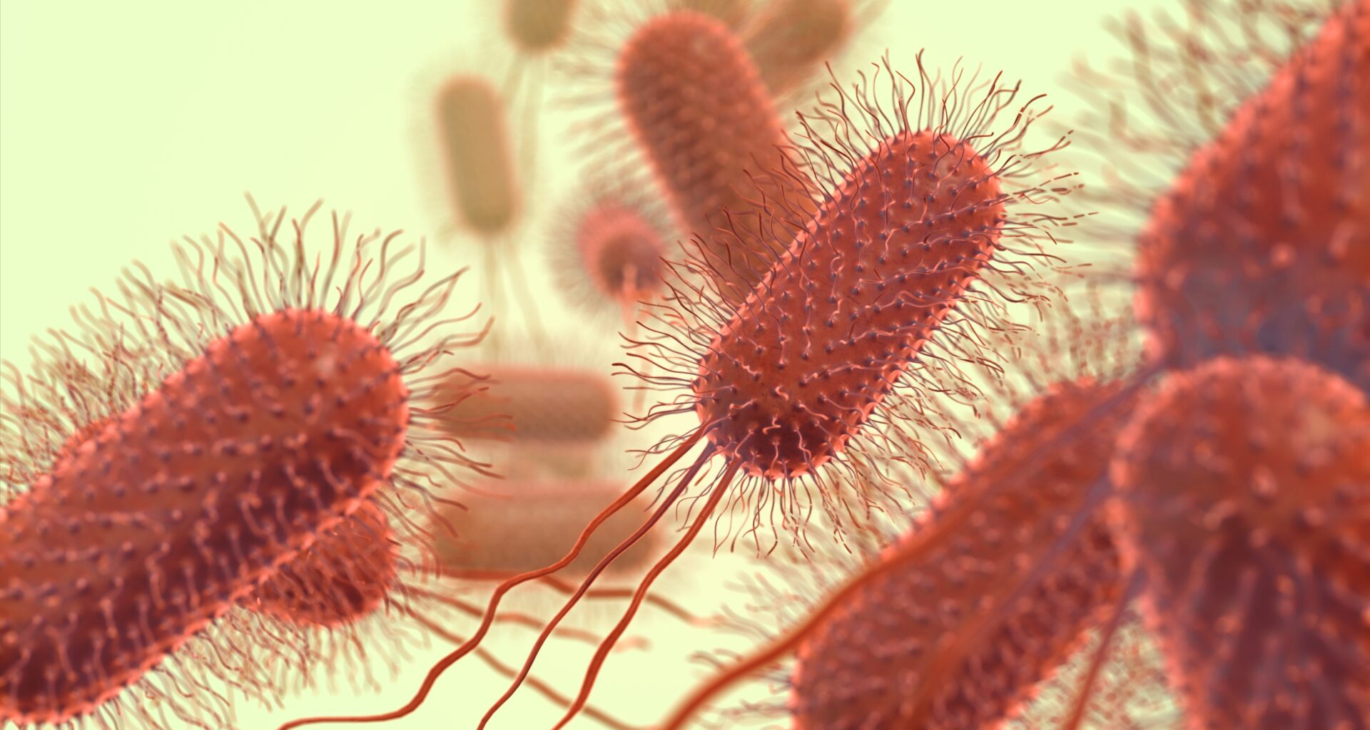 Tiny RNA molecule helps viruses hijack bacterial cells