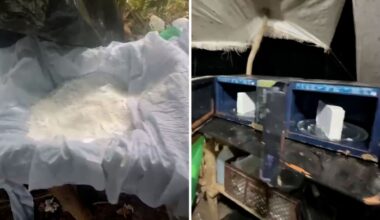 Hunting drug gangs on Colombia-Venezuela border | World News