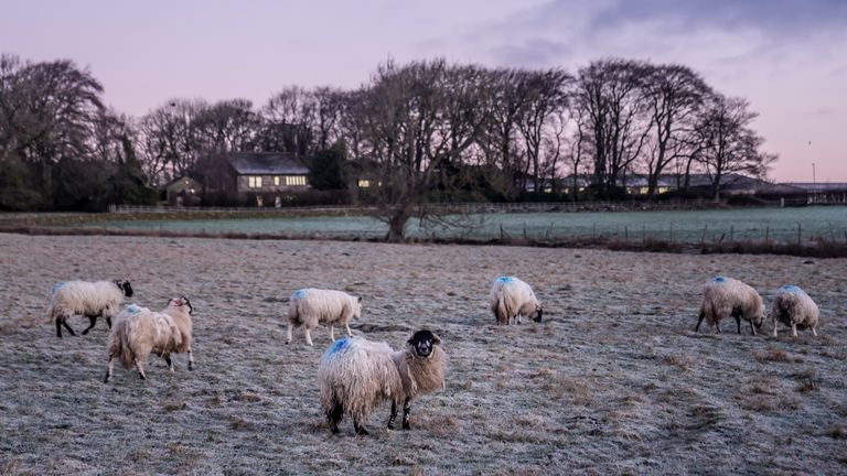 A frosty New Year's Eve morning in Oxenhope, West Yorkshire. Pic: PA